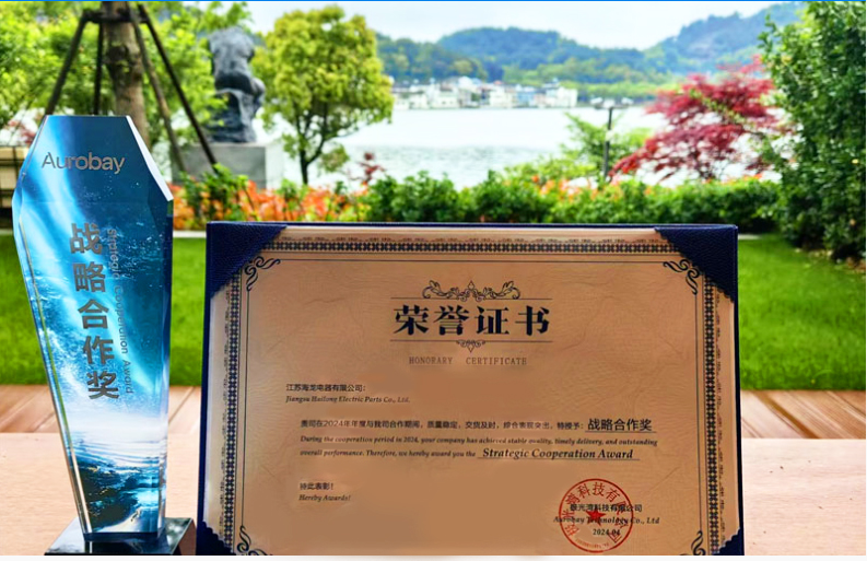   喜報(bào)：江蘇海龍榮獲吉利汽車2024年度供應(yīng)商“戰(zhàn)略合作獎”？